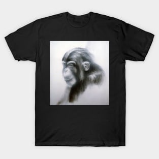 Chimp - Drawing by Avril Thomas - Adelaide Artist T-Shirt